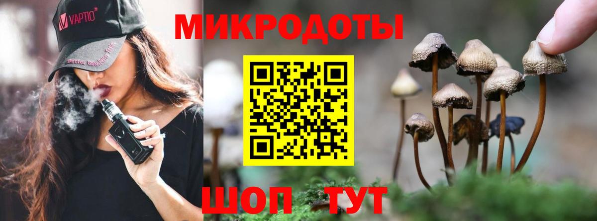 Псилоцибиновые грибы мицелий Рославль
