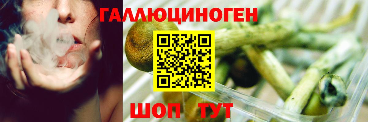Рославль  дарнет шоп  Вход с VPN  Галлюциногенные грибы Psilocybine cubensis 